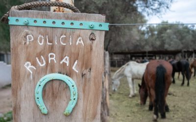 Plan contra el abigeato: qué medidas tomar para prevenir el robo de ganado