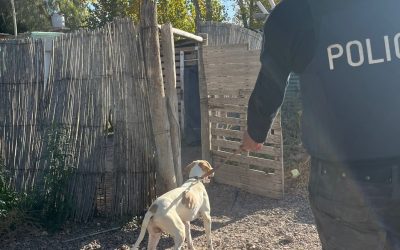 Nuevo accionar de Fito en Junín: siguió huellas y halló elementos robados en una finca