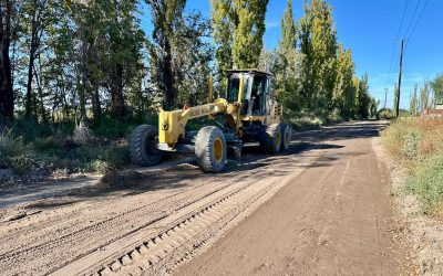 Vialidad Mendoza intervino en rutas y caminos rurales de la zona Este importantes para la producción