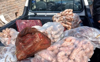 Ganadería decomisó 2500 kilos de chacinados en una fábrica ubicada en Guaymallén