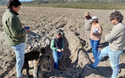 Producción y la Cámara de Cerezas de Mendoza impulsan importante programa de fortalecimiento sectorial