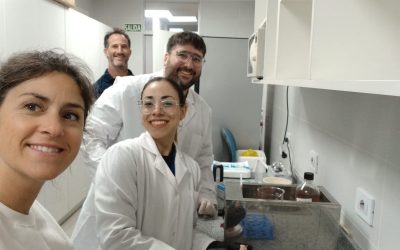 Ganadería: impulso a la biotecnología reproductiva en Mendoza