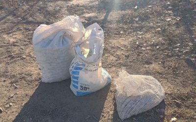 Tunuyán: detuvieron a un hombre y recuperaron 80 kilos de nueces robadas en una finca