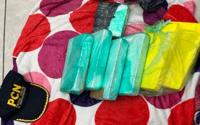 Detuvieron a una mujer con casi 7 kilos de cocaína en la terminal de ómnibus de San Martín