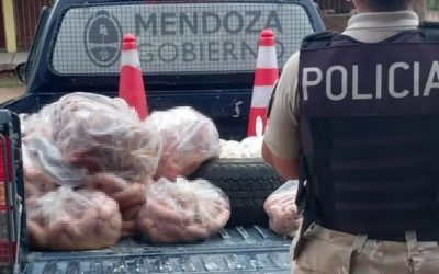 La Policía de Mendoza decomisó en Las Heras 340 kilos de alimentos en mal estado y sin trazabilidad