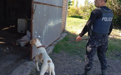 Con la intervención de Fito, la Policía recuperó bienes sustraídos en Rivadavia