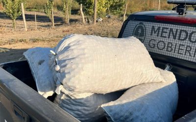 La Policía cerró la temporada de controles en nogaleras con más de 11 toneladas de nueces recuperadas