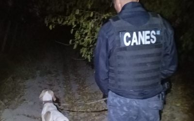 Fito, perro de la Policía de Mendoza, volvió a esclarecer robos y recuperó elementos en el Este provincial