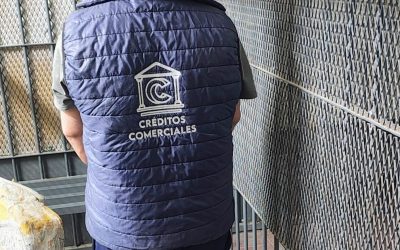 Dos robos esclarecidos y cuatro detenidos tras intervenciones policiales en Rivadavia