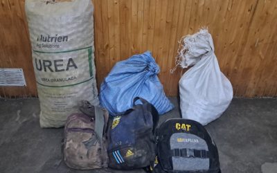 Ocho aprehendidos en Tupungato: la Policía de Mendoza desbarató un robo y secuestró 100 kilos de nueces