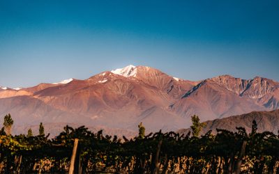 Las bodegas se preparan para  Vinexpo Explorer Mendoza 2026