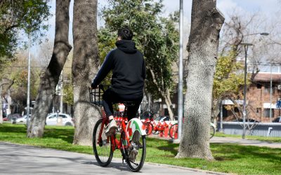 Día mundial de la bicicleta: cada vez más usuarios eligen biciTRAN para trasladarse