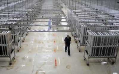 Bioplanta Santa Rosa: 10 años implementando normas internacionales de calidad