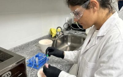Ganadería y CONICET ponen en marcha nuevos servicios de biotecnología reproductiva para fortalecer la producción mendocina