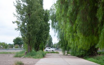 A pedido de las constructoras, la Provincia prorroga la apertura de ofertas para el nuevo crucede Aristóbulo del Valle y Acceso Sur