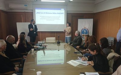 Mendoza digitaliza el Registro de Constructores de Obra Pública con el nuevo sistema «Búho RACOP»