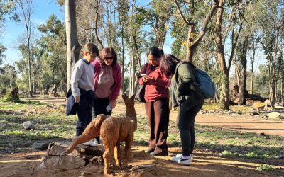 El Ecoparque ya recibió a 375 estudiantes y docentes en sus recorridos educativos