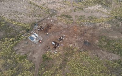 Con apoyo de drones, la Policía recuperó cuatro equinos en un operativo contra el abigeato