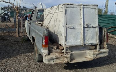 Plan Estratégico contra el Abigeato: la Policía Rural decomisó 360 kilos de productos cárnicos en Las Heras y Guaymallén
