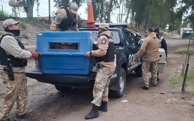 La Policía rescató cinco perros durante un allanamiento por presunto maltrato animal en Perdriel