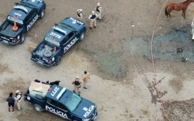 Canes, drones y Policía Rural: un operativo coordinado permitió esclarecer el robo de dos caballos en Maipú