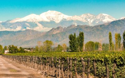 Mendoza será sede de Invest In LAC 2026, el foro que reunirá a líderes globales de inversión
