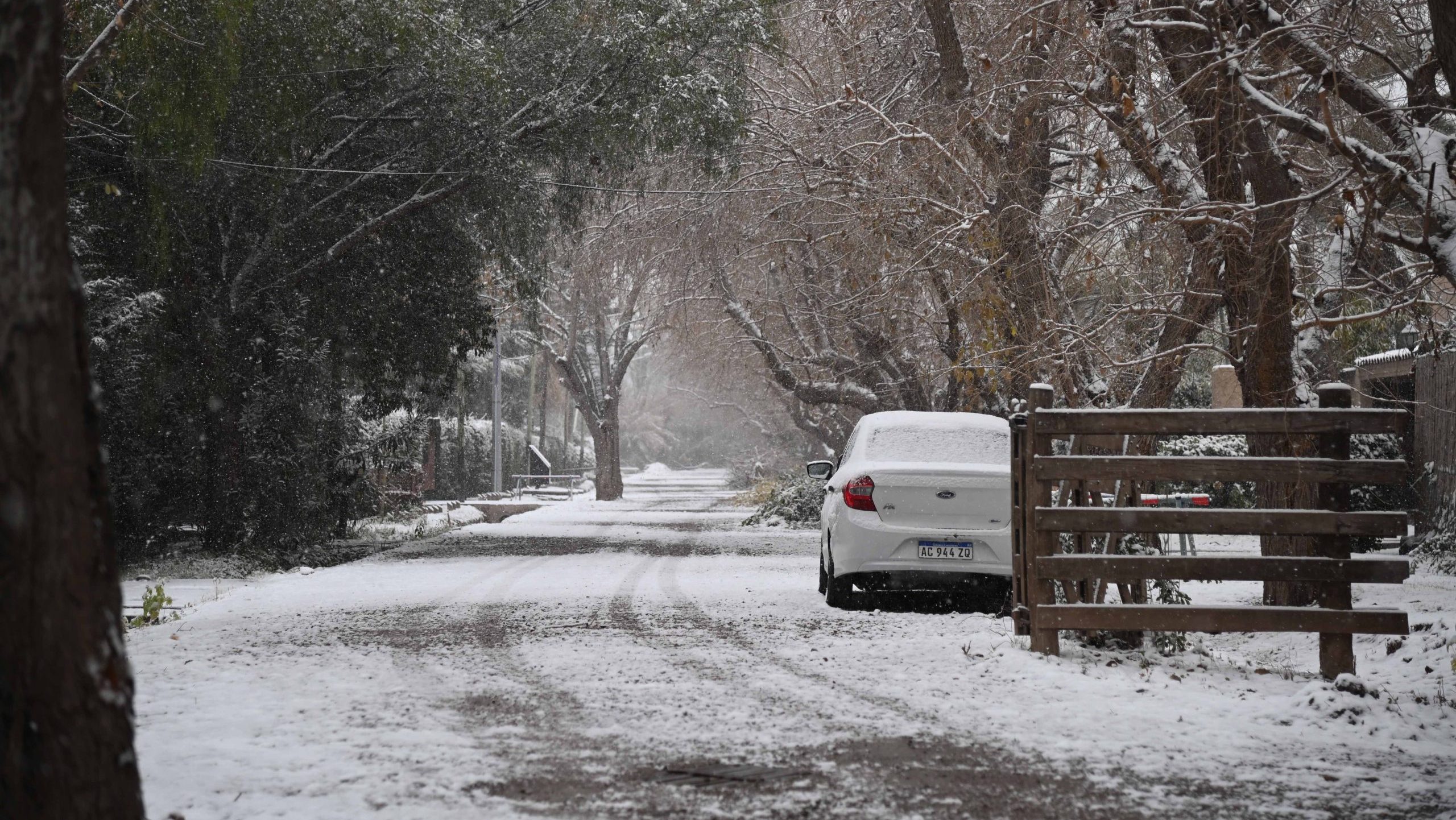 nieve