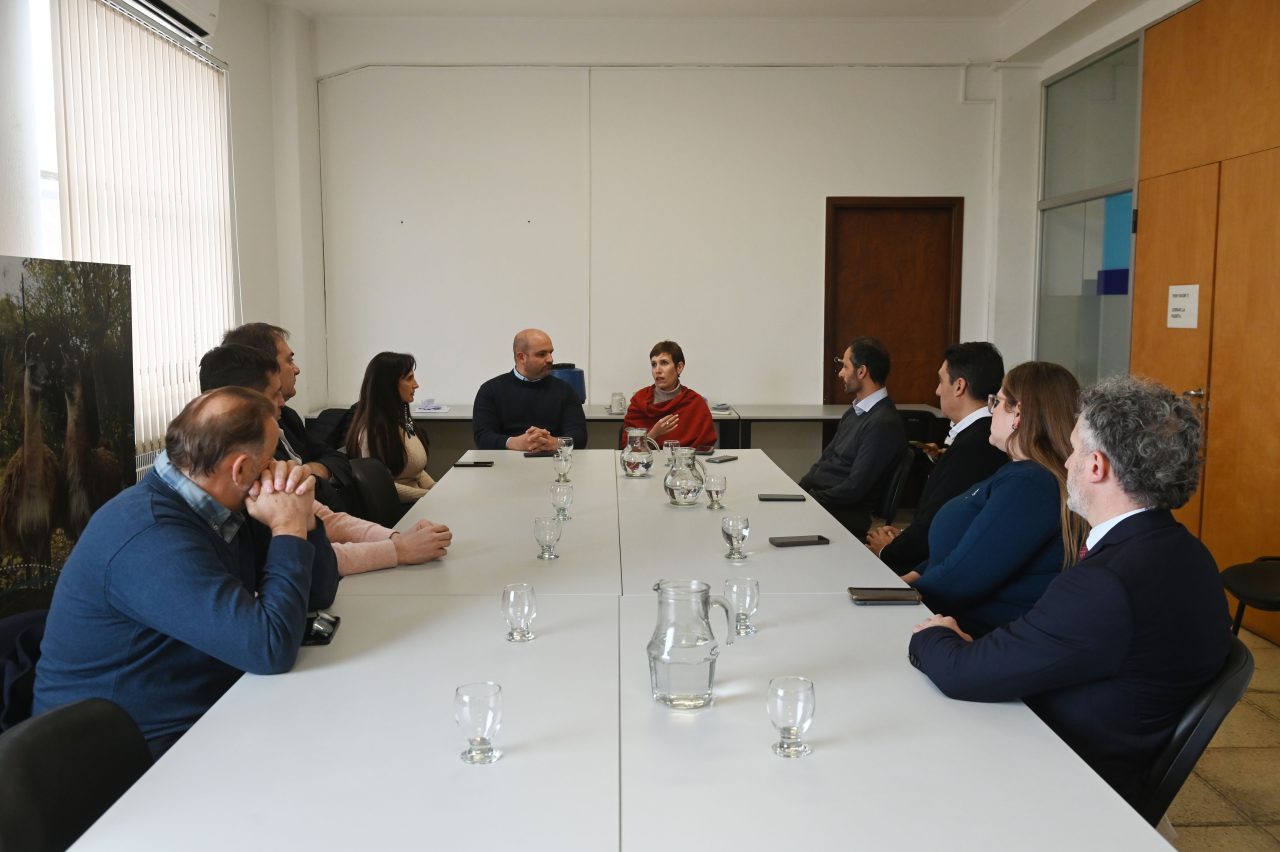 Mendoza fortalece su institucionalidad minera para impulsar inversiones y desarrollo productivo