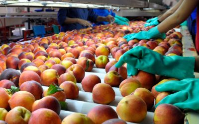 Abren las inscripciones para Mendoza Southern Food, la ronda de negocios que traerá compradores de alimentos y bebidas