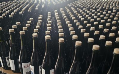 El vermut mendocino vive un gran momento y ya conquista mercados internacionales
