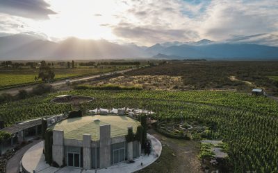 Mendoza fortalece su posicionamiento internacional con 16 establecimientos destacados en «50 Best Discovery»
