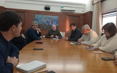 Lobesia botrana: el Gobierno de Mendoza avanza en la planificación de una nueva campaña de control