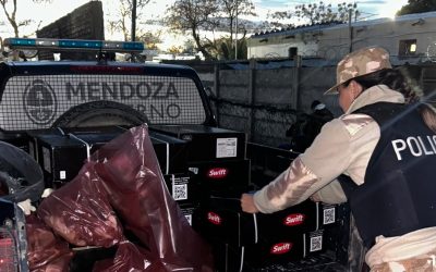 Controles contra el abigeato en Rivadavia: la Policía Rural decomisó más de 290 kilos de productos cárnicos no aptos para consumo