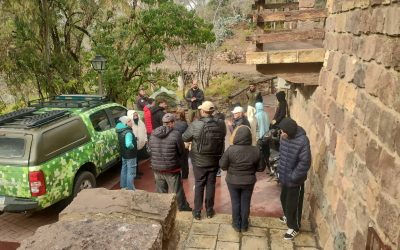 Golpe al tráfico ilegal de fauna: rescataron más de 20 aves silvestres en operativos realizados en Lavalle y Las Heras