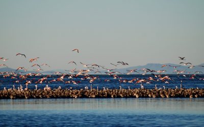 Vacaciones de invierno: Mendoza invita a descubrir la naturaleza en sus áreas naturales protegidas