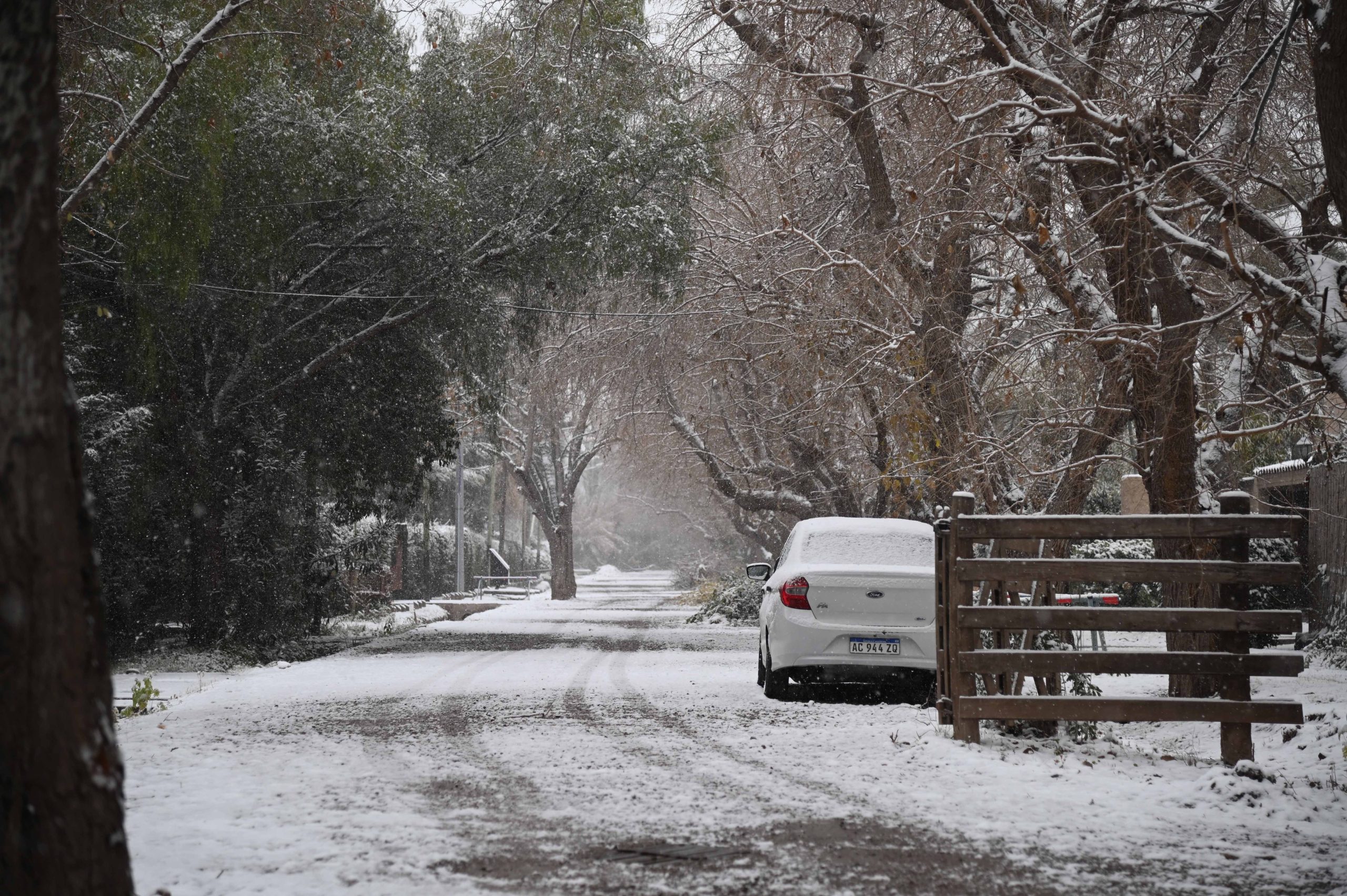 nieve 4