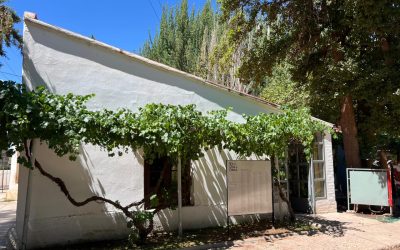Homenaje a las reinas vendimiales de Malargüe